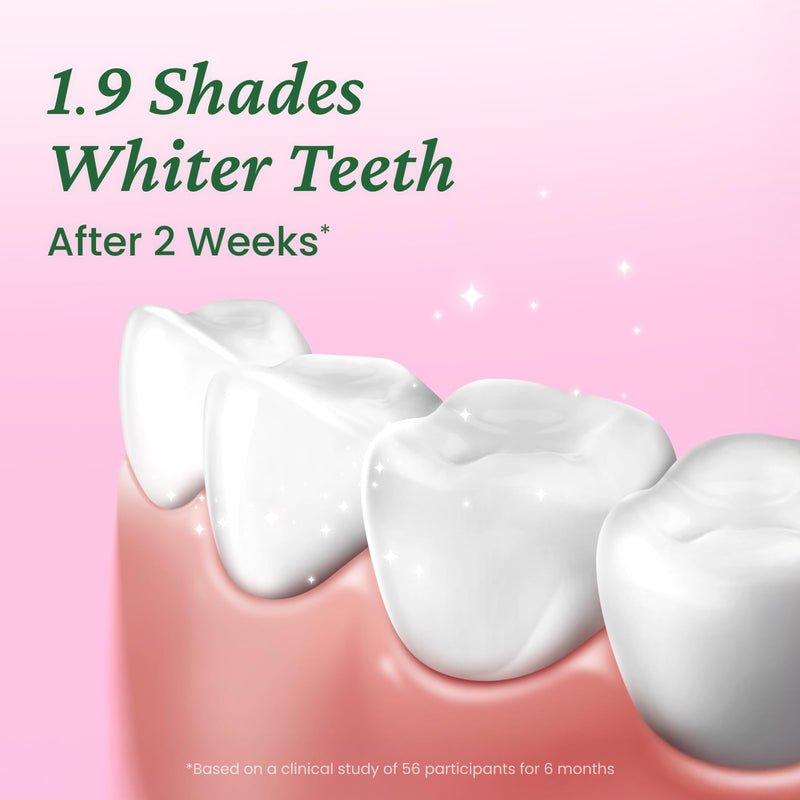 EUTHYMOL Whitening Toothpaste (3.7fl oz*3, Pack of 3) - Stain Removal in 2 Weeks, Long-Lasting Freshness for Sensitive Gum & Teeth. Bad Breath, Cavity Prevention. Recyclable Aluminum Tube