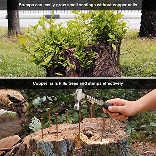 12 Pcs 4 Inch Long Copper Nails Spikes for Tree Killing, Stump Removal with 1 Pcs 4 Inch Steel Nails, for Landscaping & Gardening, Storage Box Included