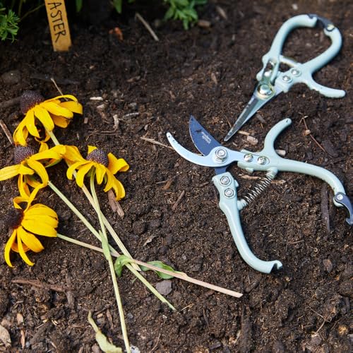 Modern Sprout Botanical Kit - Pruning Shears & Plant Mister - Sage