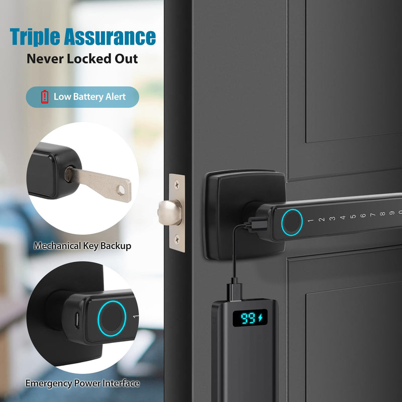 Bamberg N1 Smart Door Knob,4-in-1 Keyless Entry with Fingerprint, Tuya APP, Keypad Code & Key | Biometric Fingerprint Lock for Privacy on Bedroom, Apartment, Office and Indoor Doors