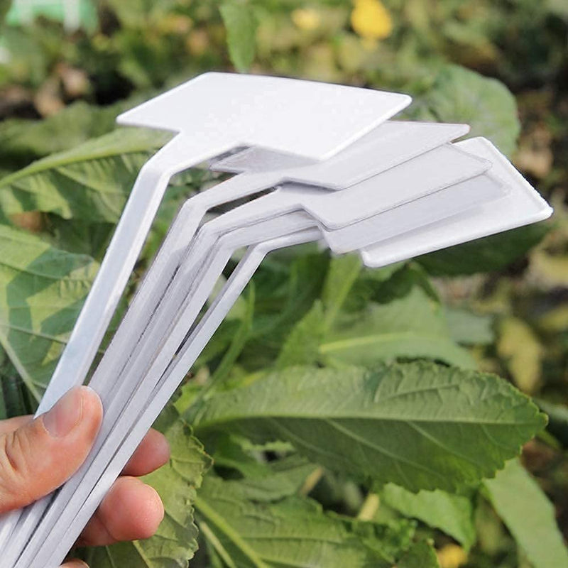KINGLAKE GARDEN Outdoor Plastic Plant Labels 30 Pack 11.8 inch Outdoor Waterproof Sturdy Nursery Garden Markers, Plant Markers for Herbs, Flowers, Vegetable, Plant White