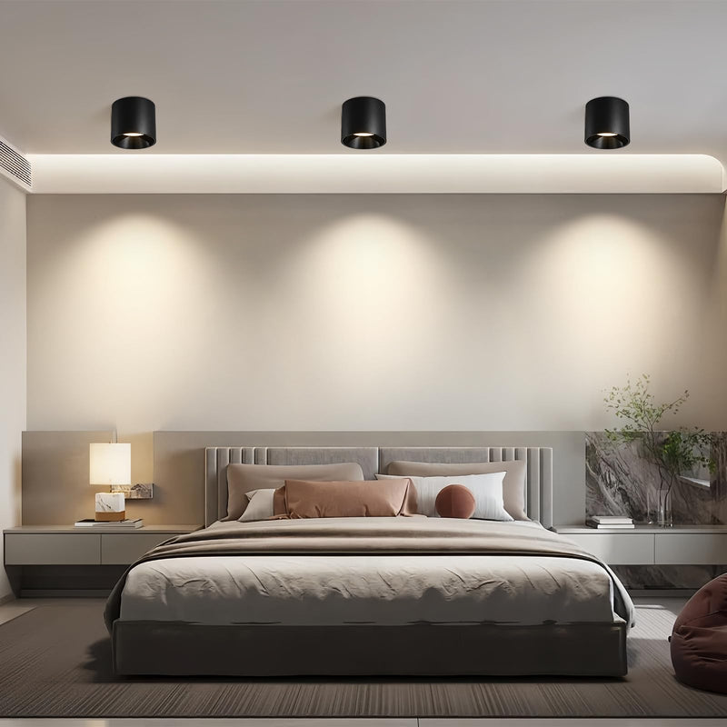 Modern LED Flush Mount Ceiling Light Fixture, 20W Dimmable & 3000K-6000K 3 Color Selectable Black Cylinder Ceiling Lamps for Low Profile Living Room Hallway Entryway Kitchen Dining Room Foyer 1 Pack