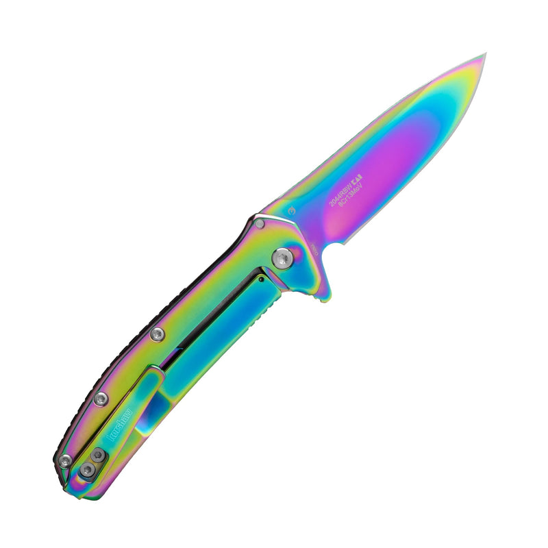 Kershaw Outcome Pocket Knife, Silver, 2.8 Inch Stainless Steel Drop Point Blade, EDC with Assisted Opening, Reversible Pocketclip, Everyday Carry Pocket Knife for Men and Women Rainbow