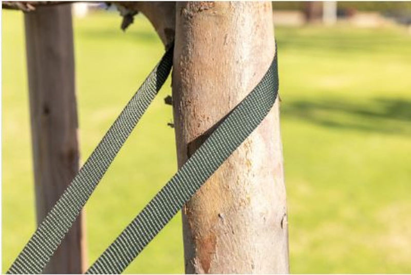 Tree Straps for Staking, Tree Ties for Plant Support, 3/4 Inch Width Guying Material Webbing Garden Strap for Outdoor Tree Straightening, 1500 Lbs Strength (Army Green) - 100 Feet 100 ft