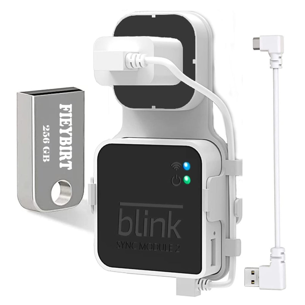 256GB Blink USB Flash Drive and Sync Module 2 Mount, Space Saving and Easy Move Mount Bracket Holder for Blink Outdoor Indoor Security System (Blink Sync Module 2 is NOT Included)