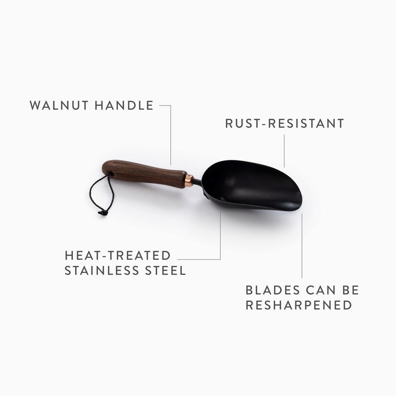 Barebones Garden Scoop - Garden Spoon - Stainless Steel Small Hand Shovel for Transplanting, Digging, and Planting - Great Home Gardening Hand Tools (Walnut/Black) Walnut/Black