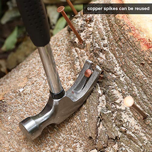 12 Pcs 4 Inch Long Copper Nails Spikes for Tree Killing, Stump Removal with 1 Pcs 4 Inch Steel Nails, for Landscaping & Gardening, Storage Box Included