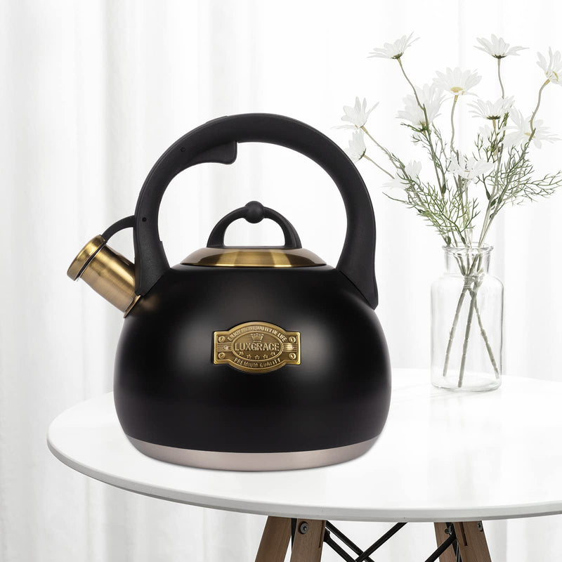 Tea Kettle for Stovetop, Food Grade Stainless Steel Water Kettle, Tea Pot for Home & Kitchen, 3.1 Quart Black