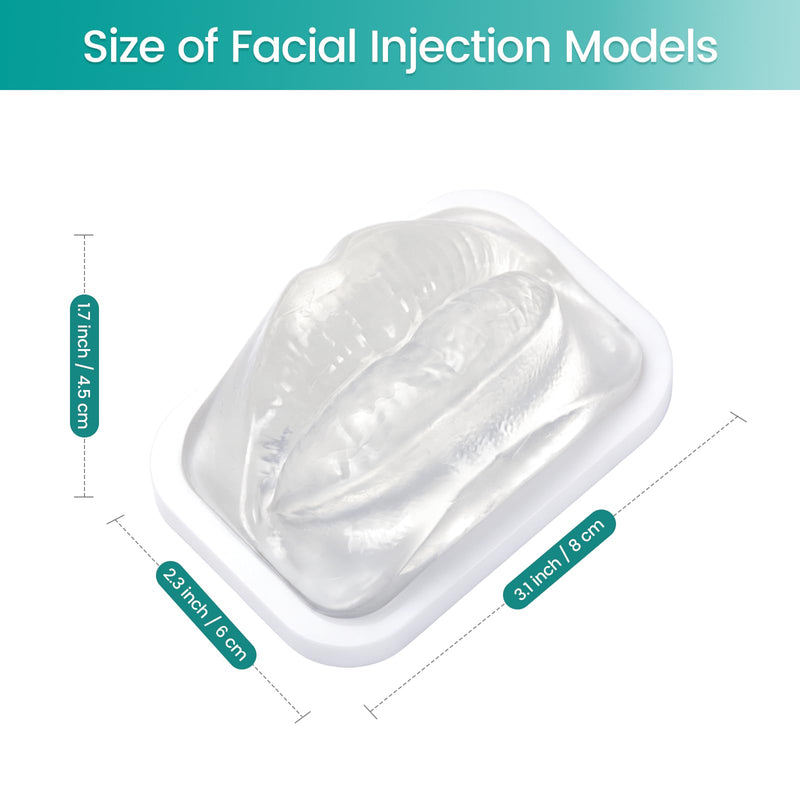 Transparent Facial Injection Lip Model, Facial Model for Injection and Filler Practice, Micro Plastic Surgery Teaching, Beautician Teaching, Injection Training for Medical Students Doctors