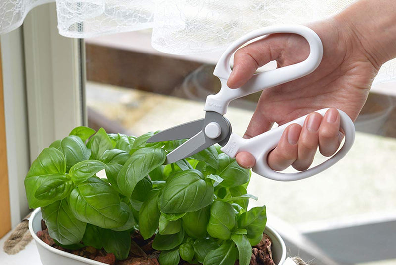 Japanese Flowers and Herbs Scissors, White
