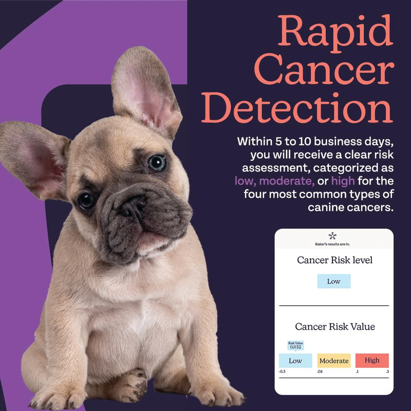 Essential Dog Cancer Screening Test Kit, Easy to Use Cancer Screening, Affordable Non-Invasive Urine-Based Test, Works On All Dog Breeds and Ages