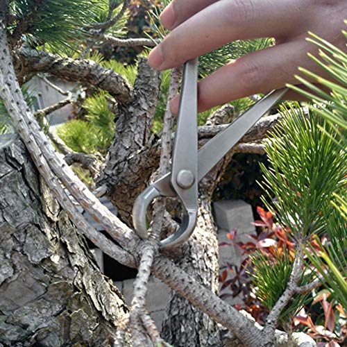 180mm Bonsai Tool Kit, Stainless Steel Knob Cutter Ball Shear Bonsai Concave Branch Cutter Gardening Tools