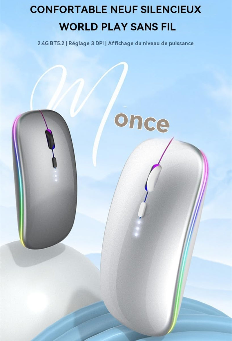 Rechargeable Wireless Mouse, Silent Bluetooth Mouse Silver | Supports Bluetooth 5.2 and 2.4G dual-mode, ergonomic design with LED indicator - portable, for Laptop, Desktop & Tablet