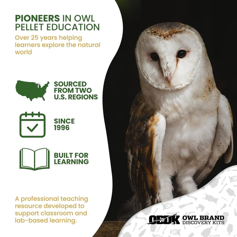 Barn Owl Pellets Classroom 20 Pack (Small) – Dissection Kit for Ecology & STEM – Includes Forceps, Picks & Teacher Guide – Hands-On Science Activity Small (1.0 to 1.5 inches) 20-Pack
