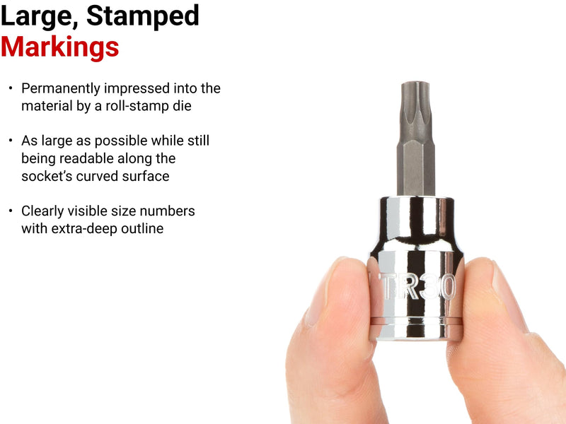 TEKTON 3/8 Inch Drive Tamper-Resistant Torx Bit Socket Set with Rail, 12-Piece (TR10-TR60) | SHB91104
