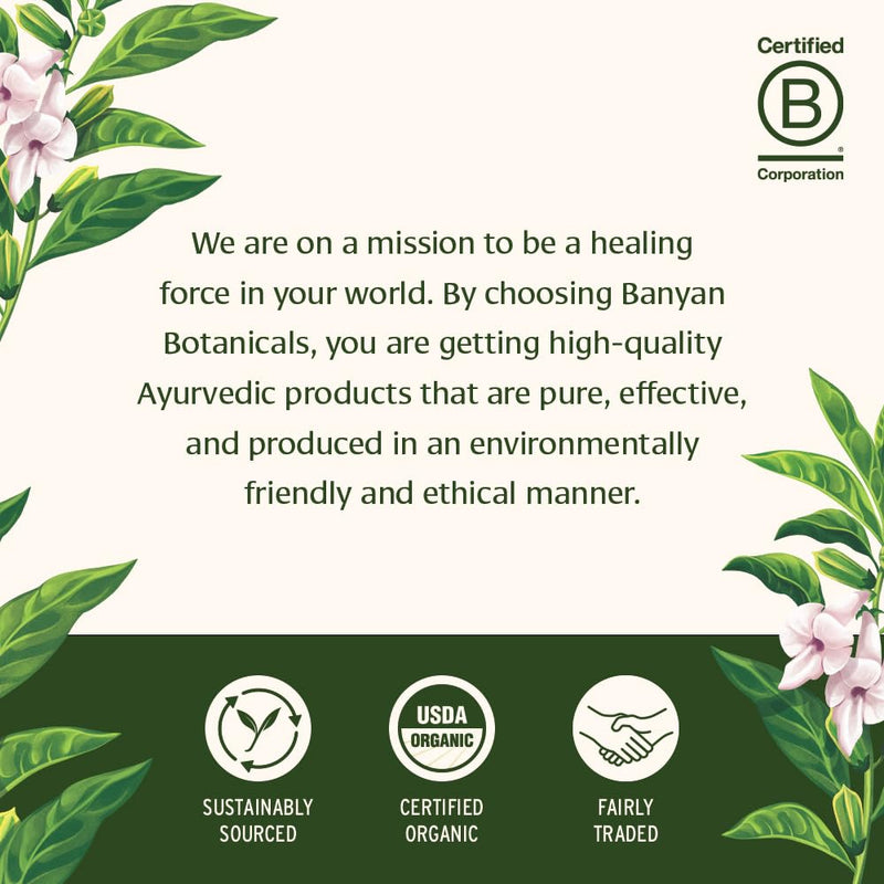 Banyan Botanicals Mint Daily Swish – Organic Ayurvedic Pulling Oil with Coconut Oil – Mouthwash for Fresh Breath and Sparkling Oral Health* – 24 oz – Non GMO Sustainably Sourced Vegan 24 Fl Oz (Pack of 1)