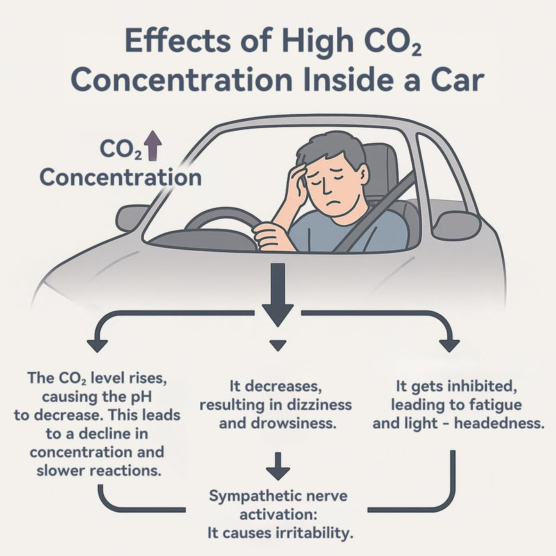 Car CO2 Monitor, Plug-in, No Battery Needed, Real-Time 10s Sampling, Rotatable Color Screen, Beep Alarm for High CO2, Fits 12V/24V Vehicles