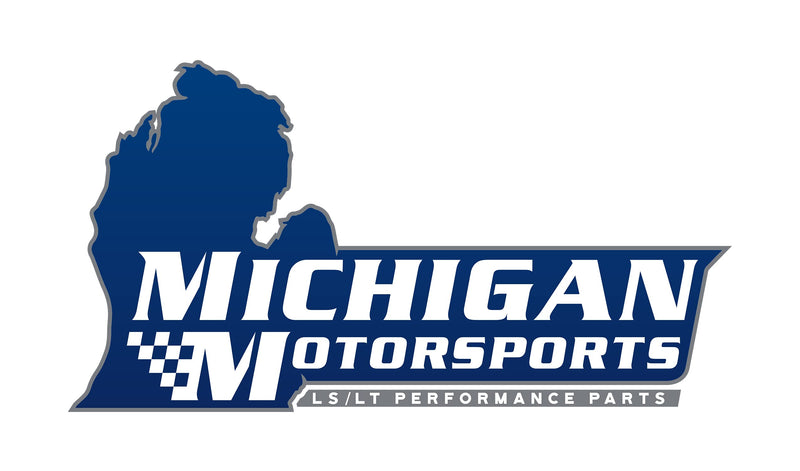 Michigan Motorsports LS/LT Beehive Valve Seal Kit | Set of 16 | Hat-Style Stem Seal for 4.8L 5.3L 5.7L 6.0L 6.2L 7.0L LS & Gen V LT Engines | OEM-Style Powdered Metal Guide Fit