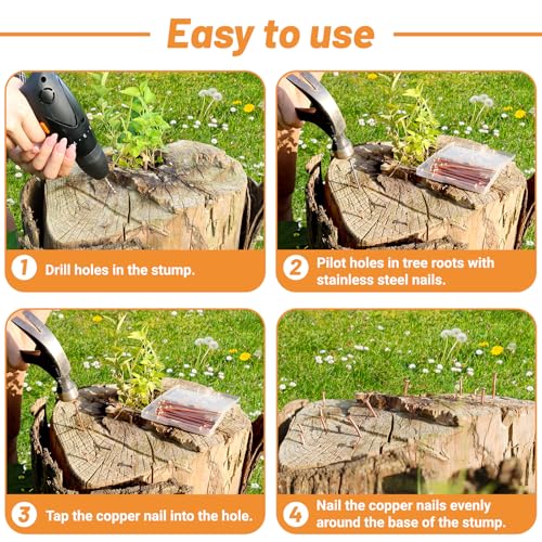 Pack 20 Copper Nails for Killing Trees Stump Root, 4" Copper Nails with Drill, Stump Removal Spikes Hardware Nails for Trees 4" -20pcs