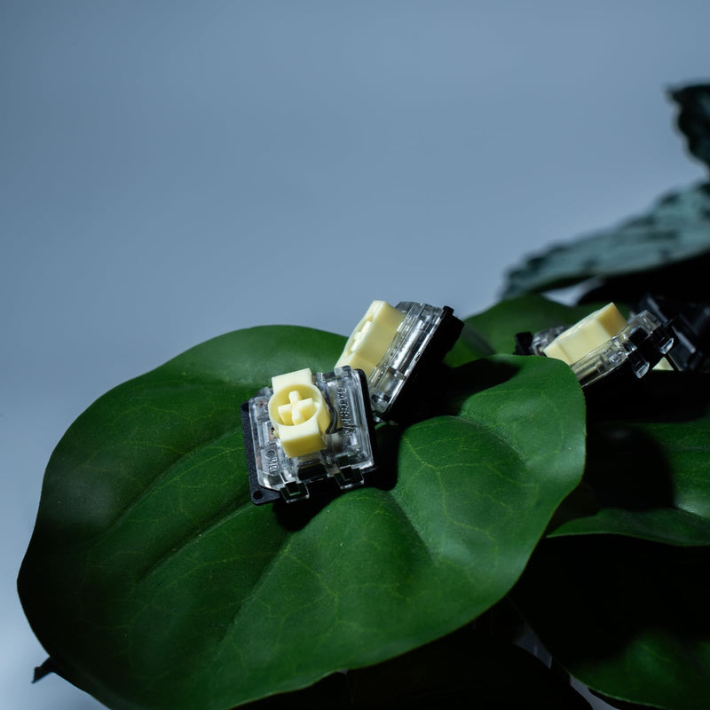 GATERON KS-33 Low Profile Banana Keyboard Switches, Tactile 65gf 3 Pin RGB LED Factory Pre-lubed for MX Mechanical Keyboard (110) 110