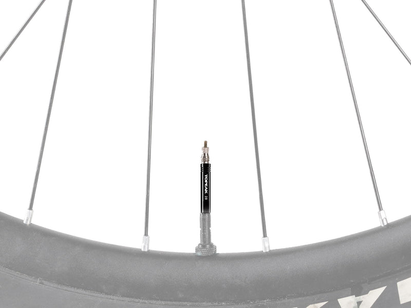 Topeak Valve Extender Set - 28mm, 40mm, or 70mm - Pair, Black 28mm Extension