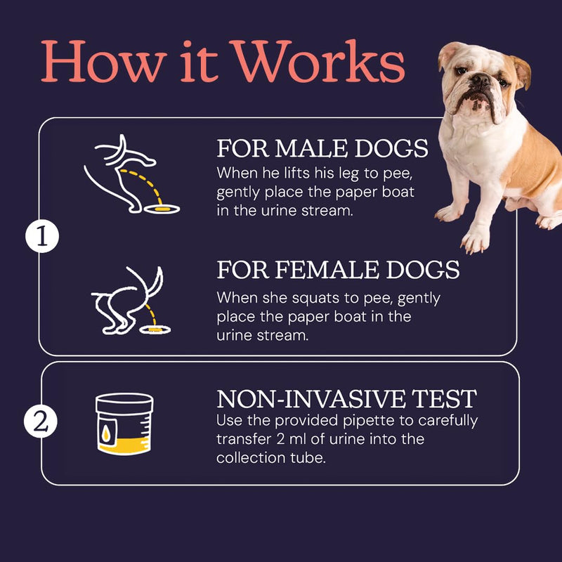 Essential Dog Cancer Screening Test Kit, Easy to Use Cancer Screening, Affordable Non-Invasive Urine-Based Test, Works On All Dog Breeds and Ages