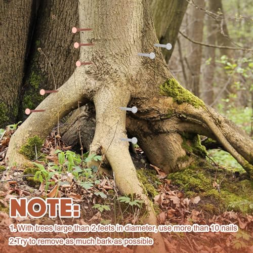 Gisafai 29 Pcs Tree Stump Killer Set Includes 24 Pcs 4.92 Inch Copper Nails Bulk, 2 Pcs Steel Nails, 2 Drill Nails, 1 Storage Box, Stump Removal Spikes Hardware Nails for Trees Stumps Landscaping