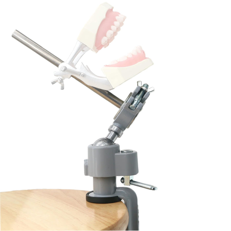 Typodont Teeth Model Training Mount, Desk-Clamp Dental Manikin Stand with Adjustable Ball Joint for Dental Education (Model NOT Included) Compatible Rod Diameter 10mm