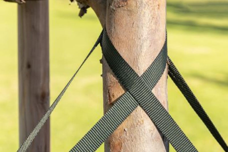 Tree Straps for Staking, Tree Ties for Plant Support, 3/4 Inch Width Guying Material Webbing Garden Strap for Outdoor Tree Straightening, 1500 Lbs Strength (Army Green) - 100 Feet 100 ft