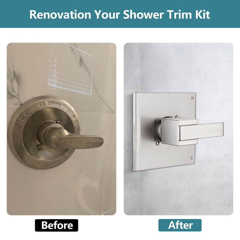 Shower Trim Kit Compatible with Delta 13/14 Series, Shower Cover Plate with Handle, Shower Cover with Handle (Valve& Catridge Not Inclued)- Brushed Nickel