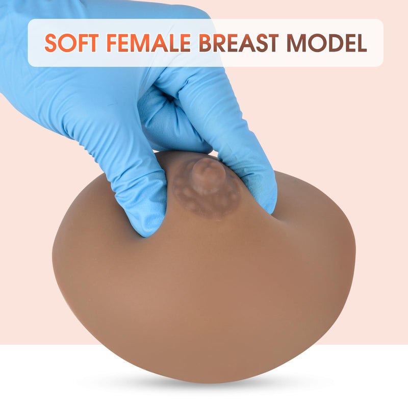 SimCoach Lactation Breast Model, Artificial Breast for Breastfeeding, Silicone Breast Model for Education, Lactating Teaching Tool, Nursing Training, Black