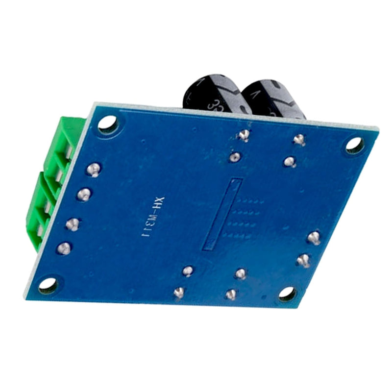 gotor tpa3118 Amplifier Board 60w tpa3118 Mono amp Board Stereo 24 to 10v | digital power amplifier board dc 24v to 10v for home theater car audio speaker diy project