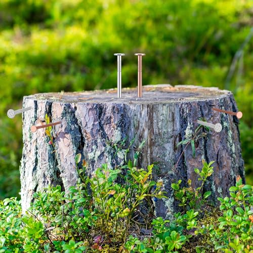 Gisafai 29 Pcs Tree Stump Killer Set Includes 24 Pcs 4.92 Inch Copper Nails Bulk, 2 Pcs Steel Nails, 2 Drill Nails, 1 Storage Box, Stump Removal Spikes Hardware Nails for Trees Stumps Landscaping