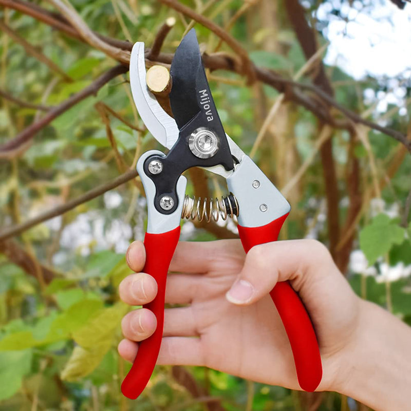 Garden Pruners, Heavy Duty Garden Clippers, Pruning Shears with Adjustable Thumb Lock, Hand Gardening Tools Pruners, High Carbon Steel Sharp Gardening Scissors (black) Black