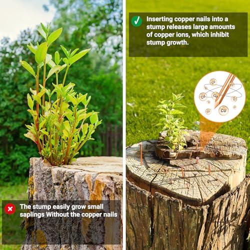 Pack 20 Copper Nails for Killing Trees Stump Root, 4" Copper Nails with Drill, Stump Removal Spikes Hardware Nails for Trees 4" -20pcs