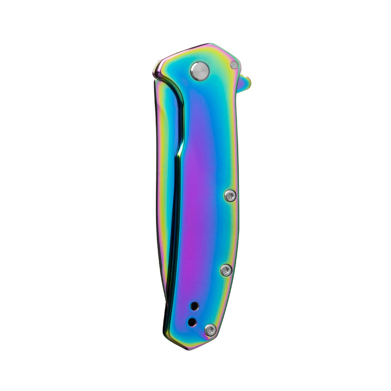 Kershaw Outcome Pocket Knife, Silver, 2.8 Inch Stainless Steel Drop Point Blade, EDC with Assisted Opening, Reversible Pocketclip, Everyday Carry Pocket Knife for Men and Women Rainbow