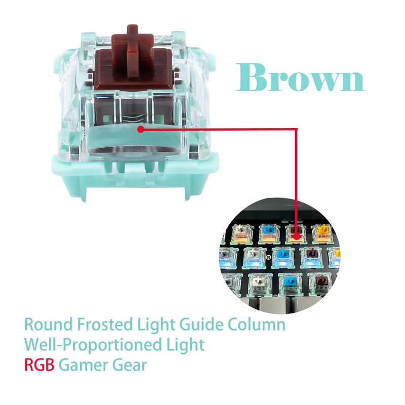 Gateron Jade Series Pre-Lubed Tactile Brown Keyboard Switch,3-Pin 55gf Double Spring Switches for MX Gaming Mechanical Keyboard(Jade Brown,10PCS) 10PCS Jade Brown