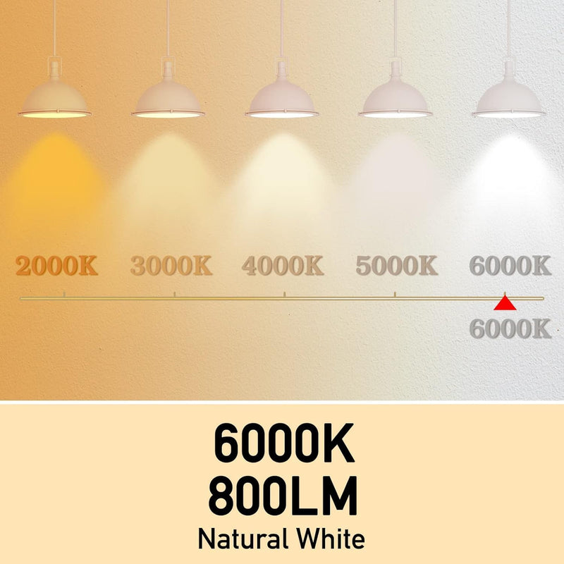 Full Spectrum Light Bulb, 6000K Natural Sunlight Bulbs, 9W 60W Equivalent LED Light Bulb, Natural Light Bulbs A19, E26/E27 LED Light Bulbs for Home, 6 Pack 6000k Daylight 6 Count (Pack of 1)