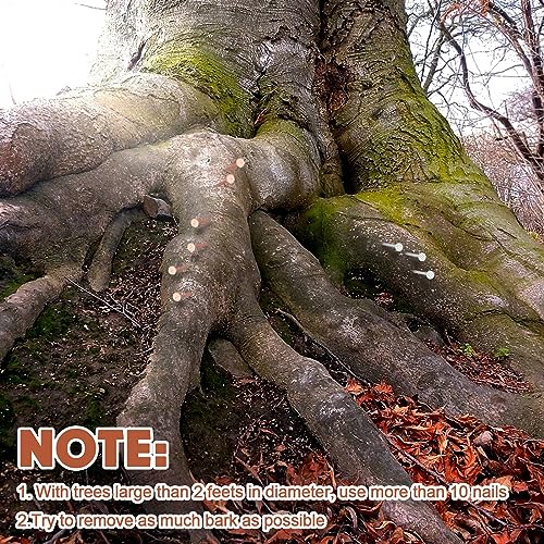 Gisafai 47 Pcs Copper Nails Tree Stump Killer Set, Include 40 Copper Nails for Killing Trees, Stumps and Roots 3.5 Inch Stump Removal Spikes with 4 Steel Nails 2 Drill Bit Nails and Storage Box