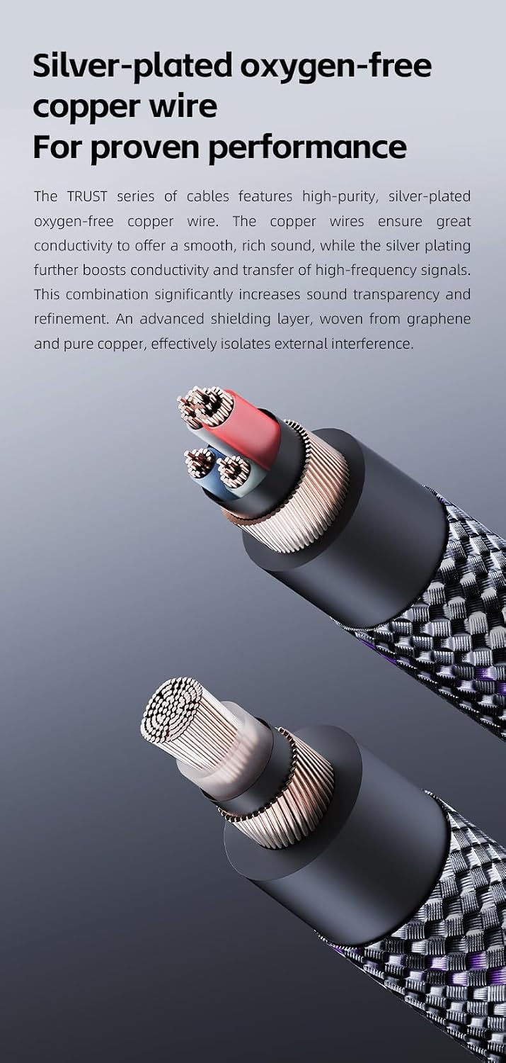 FiiO Trust Series USB-C to USB-C OTG Digital Audio Cable, Silver-Plated OFC, Supports HiFi Audio & Charging, Compatible with DAC/Amp, DAP, Smartphone and Tablet (2.6ft) 2.6ft
