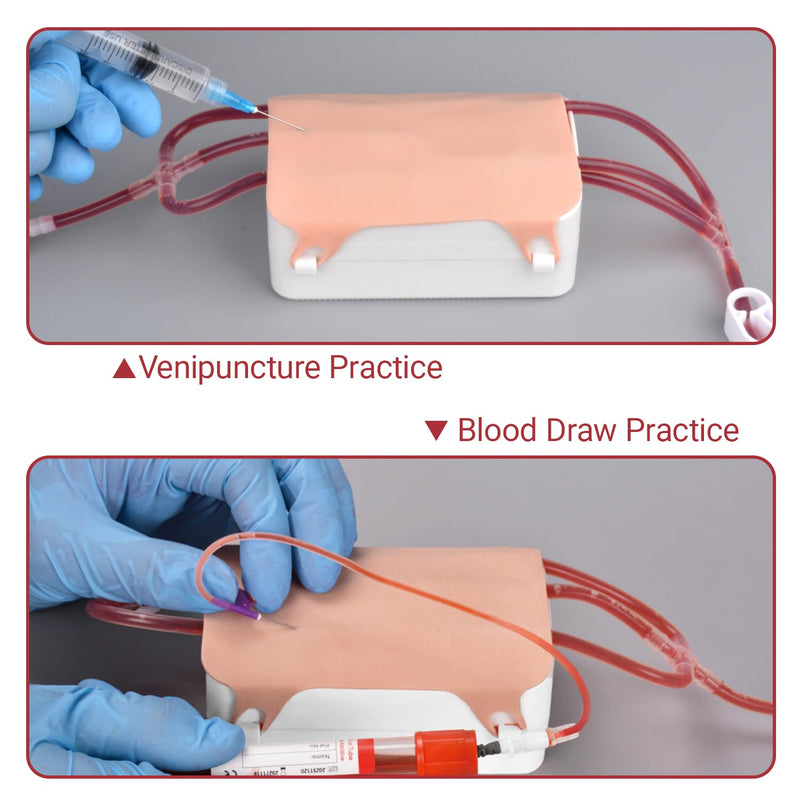 Medarchitect Portable Phlebotomy Practice Kit, IV Start Kit with Replaceable Parts and Storage Case, for Venipuncture and Blood Draw, for Nurses Medical Students and Training Institutions