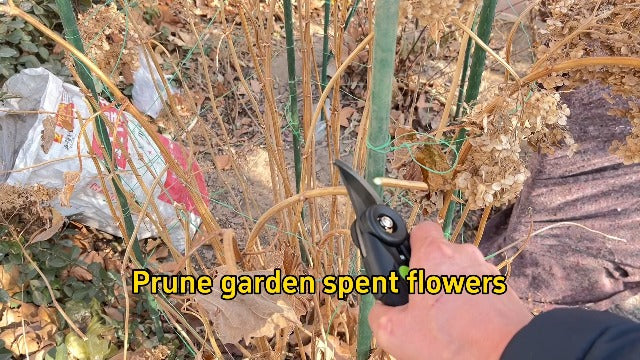  [AUSTRALIA] - Effort-Saving Gardening Scissors Professional Pruning Shears with Ultra-Sharp SK5 Blade Ergonomic Design Anti-Slip Handle for Trimming Thick Branches Essential Tool for Orchard and Garden