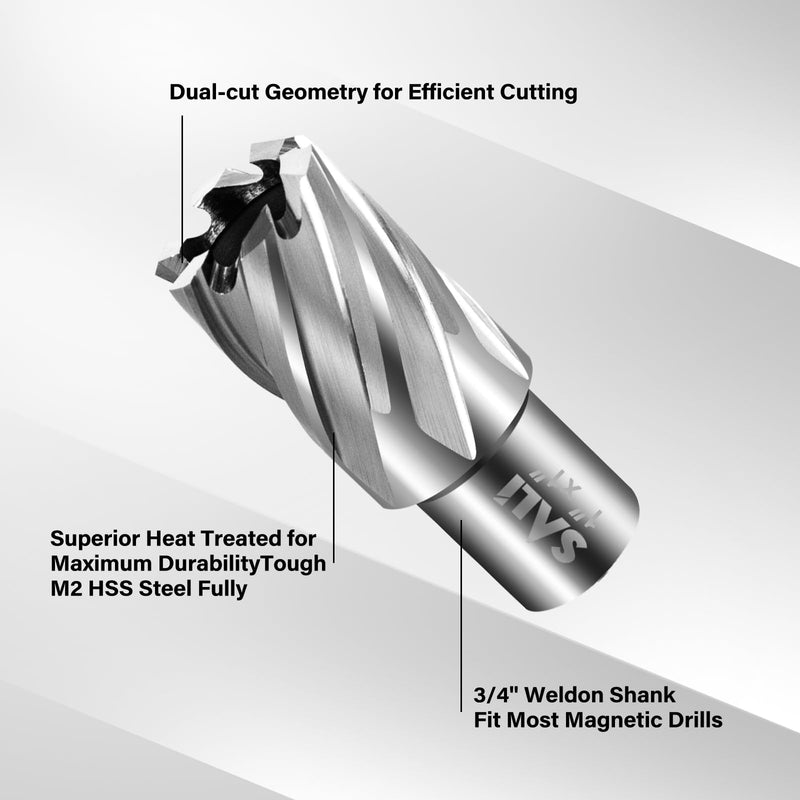 SALI 2 pcs Annular Cutter Diameter 11/16 Inch with Weldon Shank 3/4" (with 2 Flats) Cutting Depth 1" Mag Drill Bit for Magnetic Drill Press HSS Fully Ground Drill with One 1/4"*3" Pilot Pin 11/16"*1"
