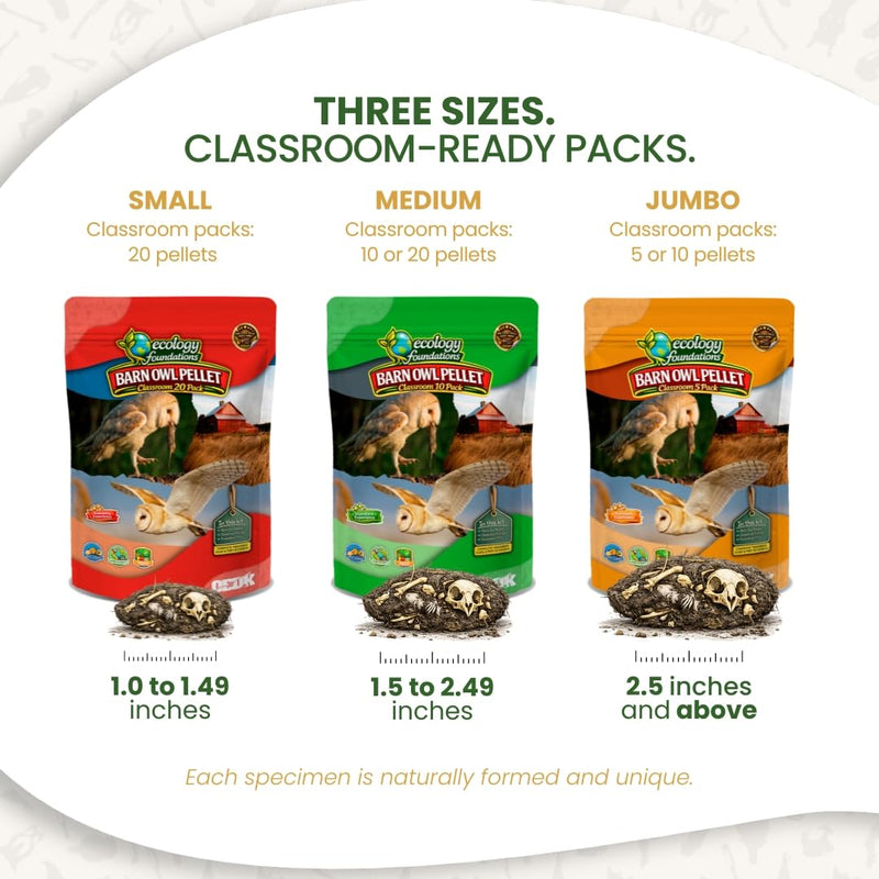 Barn Owl Pellets Classroom 20 Pack (Small) – Dissection Kit for Ecology & STEM – Includes Forceps, Picks & Teacher Guide – Hands-On Science Activity Small (1.0 to 1.5 inches) 20-Pack