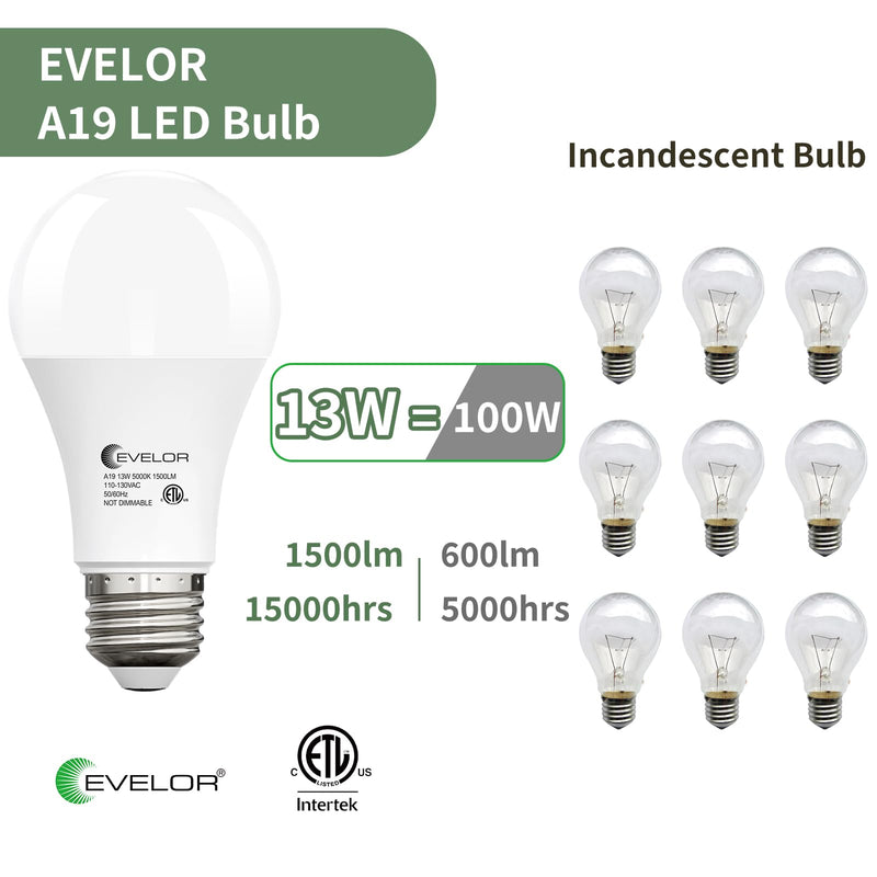 evelor 24-Packs A19 LED Light Bulbs,100 Watt Equivalent Daylight 5000K Bright Bulbs Efficient 13W,1500 Lumens E26 Base, Non-Dimmable, 15000-Hour Lifespan for Bedroom, Living Room, Office 24 Pcs