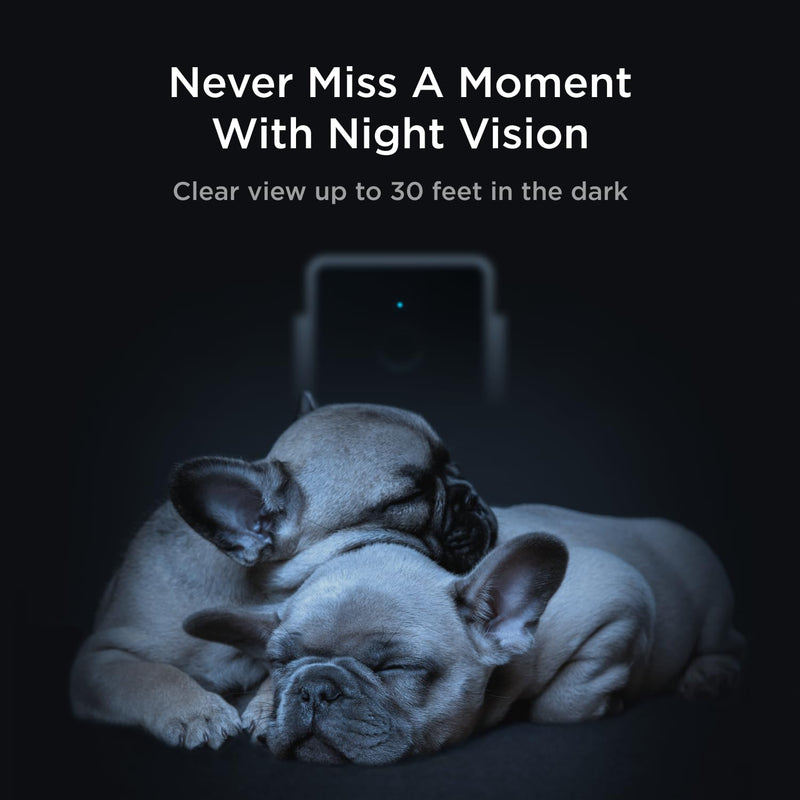 Petcube Cam The Pack of 3 | Indoor Wi-Fi Pet Security Camera with Phone App, 2-Way Audio and Video, Night Vision, 1080p HD Video and Smart Alerts Cam - pack of 3 Cameras