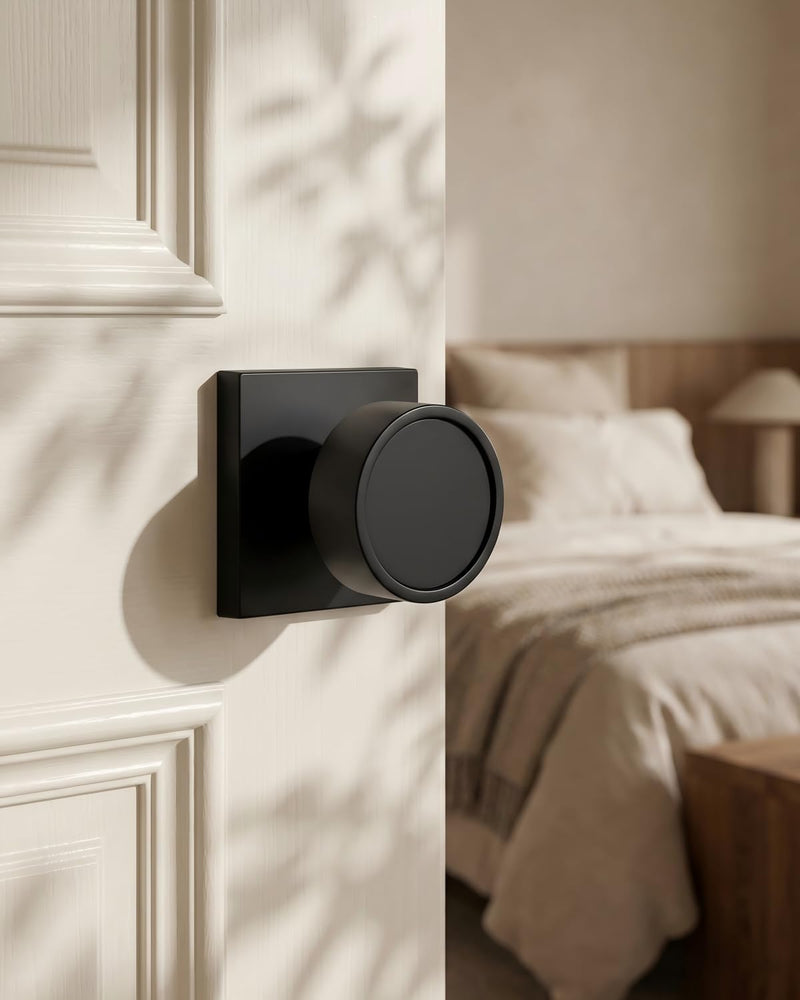 Goldenwarm Matte Black Door Knobs Passage, Closet Door Knob Zinc Alloy, Contemporary Black Interior Door Knobs for Hallway, 1 Pack