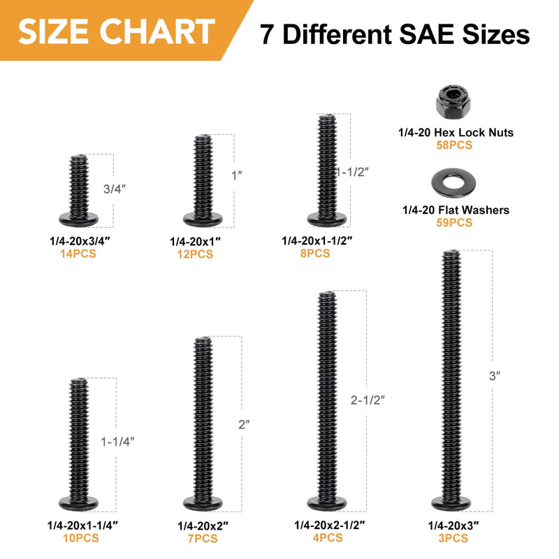 VIGRUE 175PCS 1/4-20 Flat Socket Head Screw Assortment Furniture Bolts Countersunk Screws Lock Nuts Kit, Stainless Steel 18-8 (304), Black Oxide, Length 3/4" to 3"