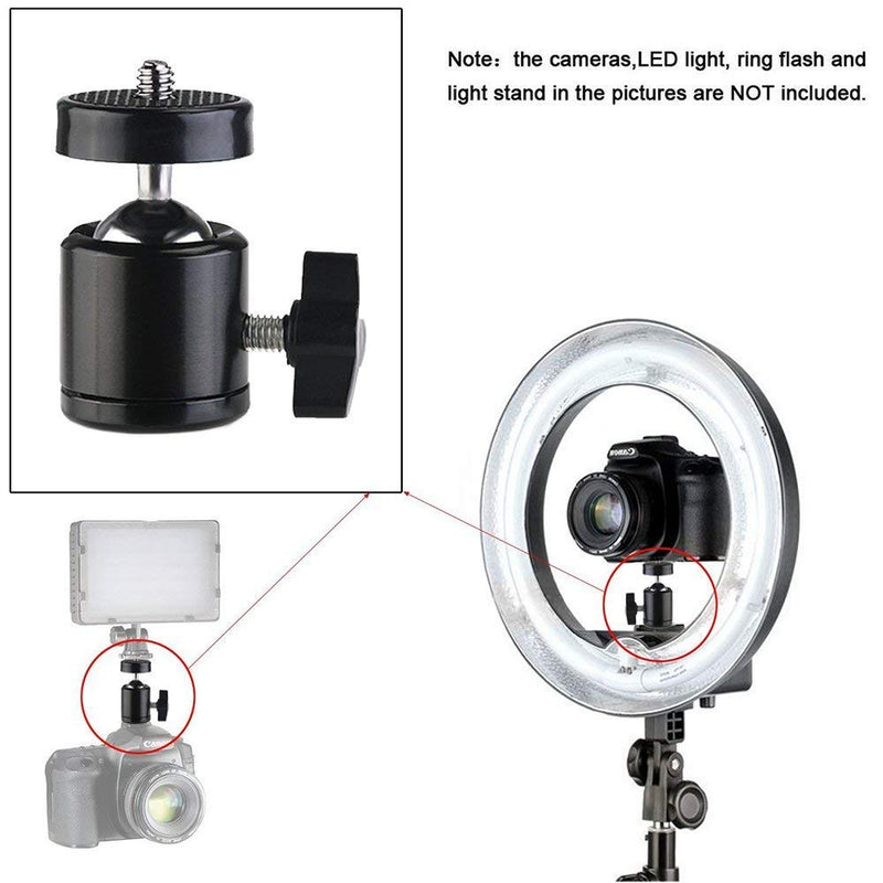  [AUSTRALIA] - SLOW DOLPHIN Hot Shoe Mount Adapter 360 Degree Swivel Mini Ball Head 1/4 Tripod Screw Head for Cameras, Camcorders, Smart Phone, LED Video Light, Microphone(4 Packs)
