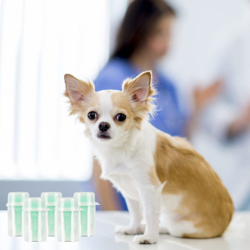 6pcs Fecal Diagnostic Kit, Animal Pet Stool Sample Collection Kit Cat Dog Stool Test, Fecalyzer for Stool Sample Fecal Test 6